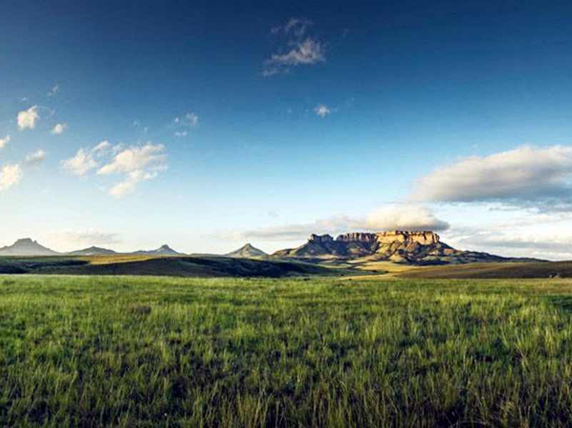 Save the Drakensberg Wetlands in South Africa from a new Highway