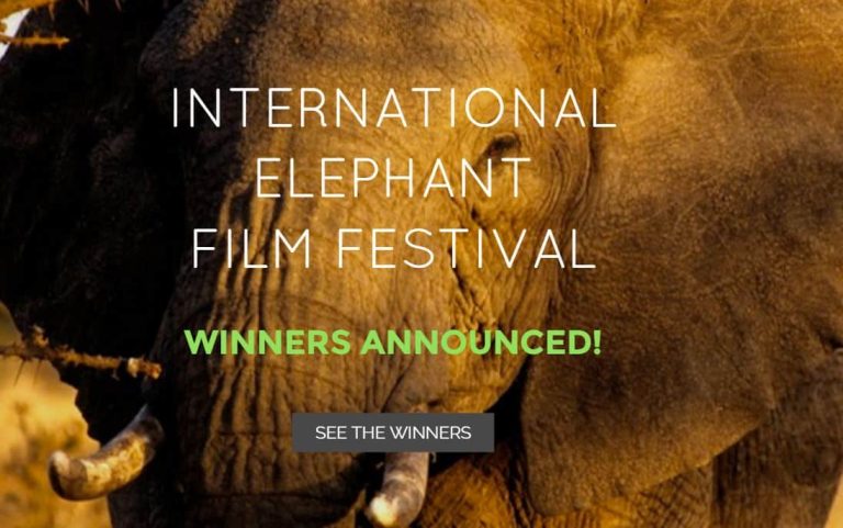 International Elephant Film Festival Winners announced at UN Headquarters on World Wildlife Day