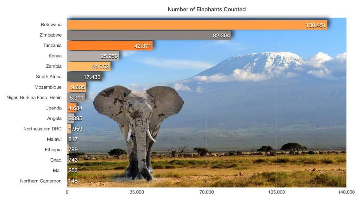 Great Elephant Census Reveals Massive Population Decline in African