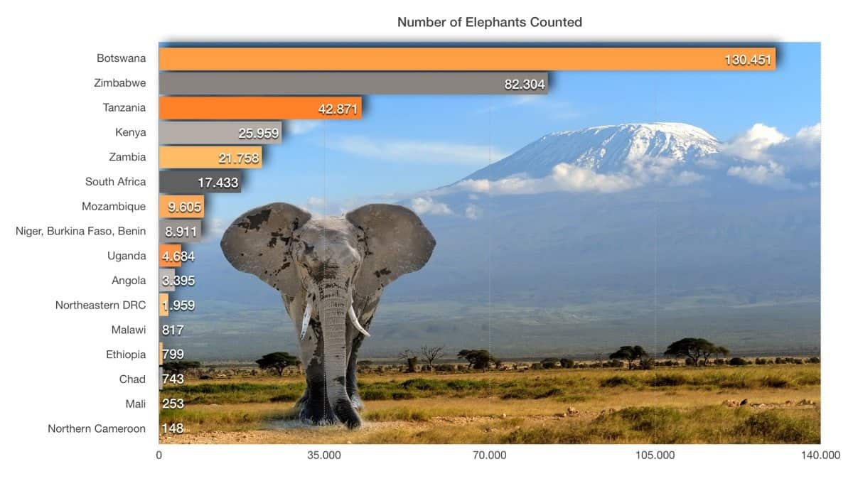 African Elephant Population Graph