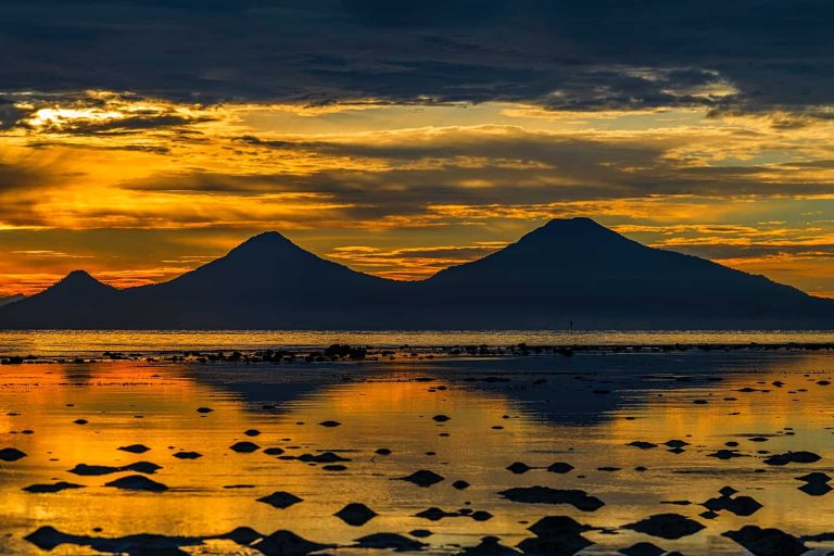 Climate activists oppose oil exploration, call for a Fossil Free Virunga in new film