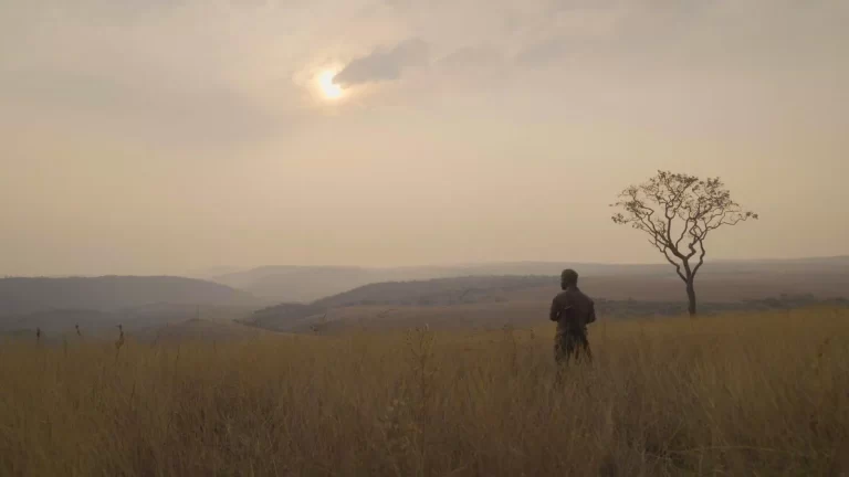 Restoring the Wild: Upemba National Park’s Journey to Recovery Captured in Inspiring New Film