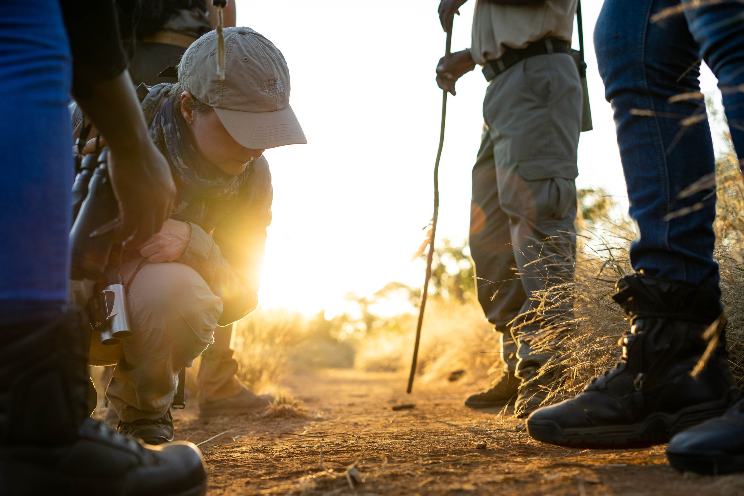 Tracking by students at sunset