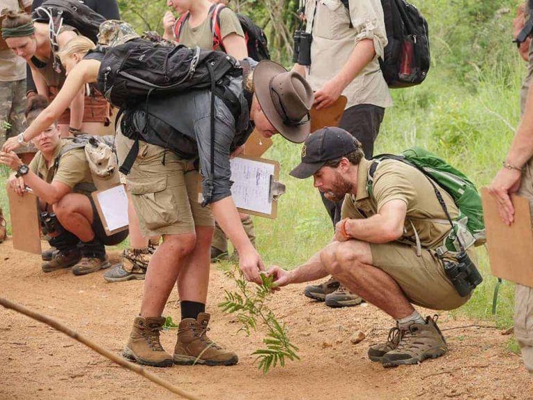 FGASA African Field Guide Level 1 Course