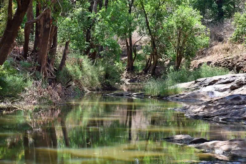 Lilongwe river