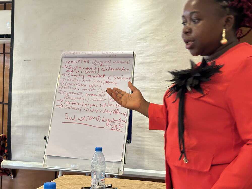 Strategy meeting during the Cross River gorilla conservation workshop, in Douala, Cameroon.