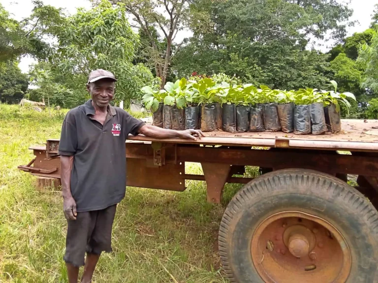 Nursery worker at Nhamacoa Forest, Mozambique