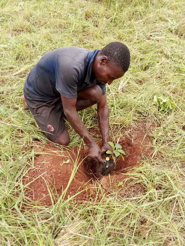 Nursery worker at Nhamacoa Forest, Mozambique